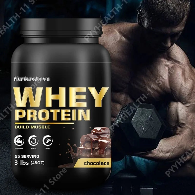 Chocolate Whey Protein Powder 100% Whey Protein Supplement Enhanced Muscle Builder & Recovery Protein with Digestive Enzymes