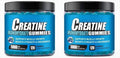 Creatine Gummies Blueberry Flavor Daily Vitality Support 120 Count Dietary Supplement